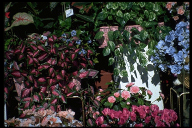 We need to show empathy