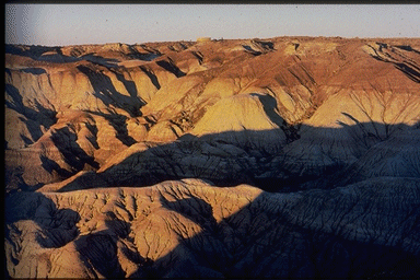 The Evangelical Falsehood is devoid of life affirming messages