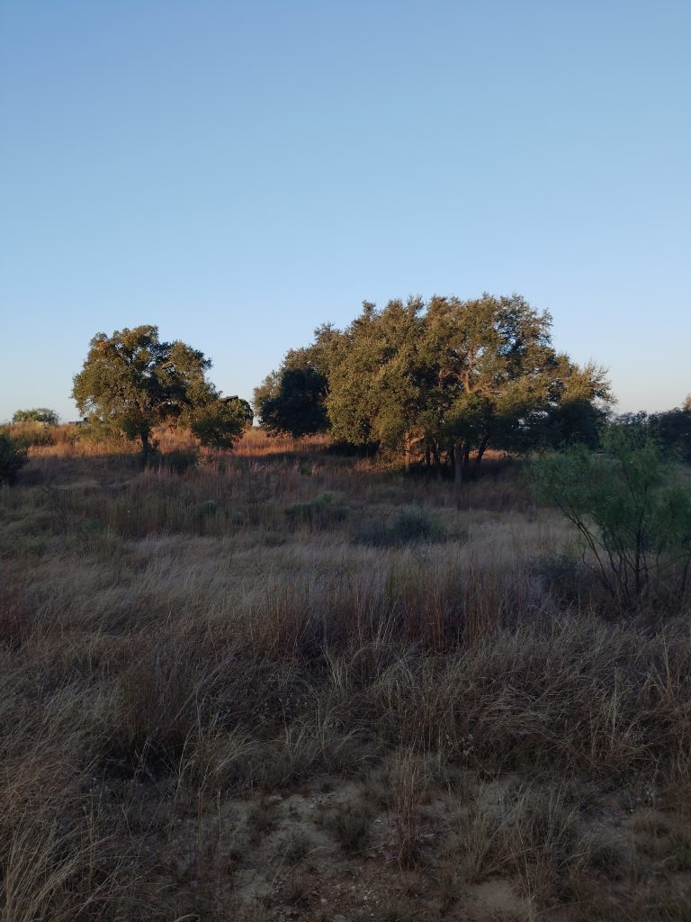 If you wanted this could be a setting for a Church without Walls